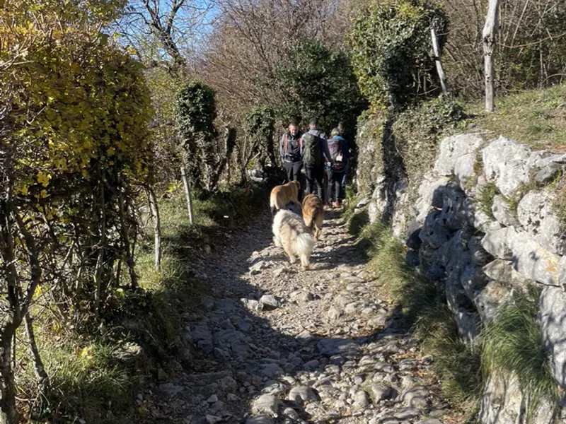 Uscite Monte Barro Lecco Outdoor 01